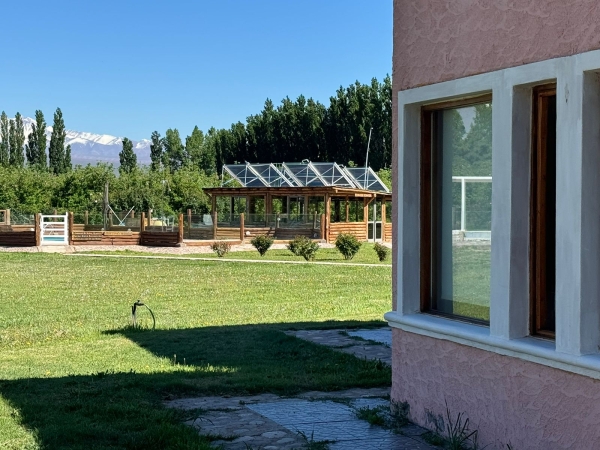 WhatsApp Image 2025-09-25 at 11.18.36 (1).jpeg